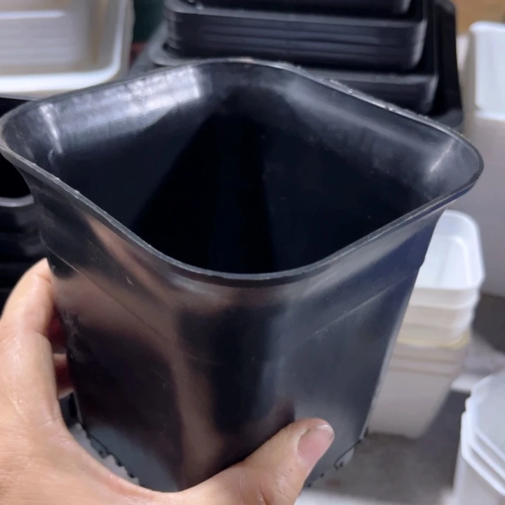 黑方口12高14一组10