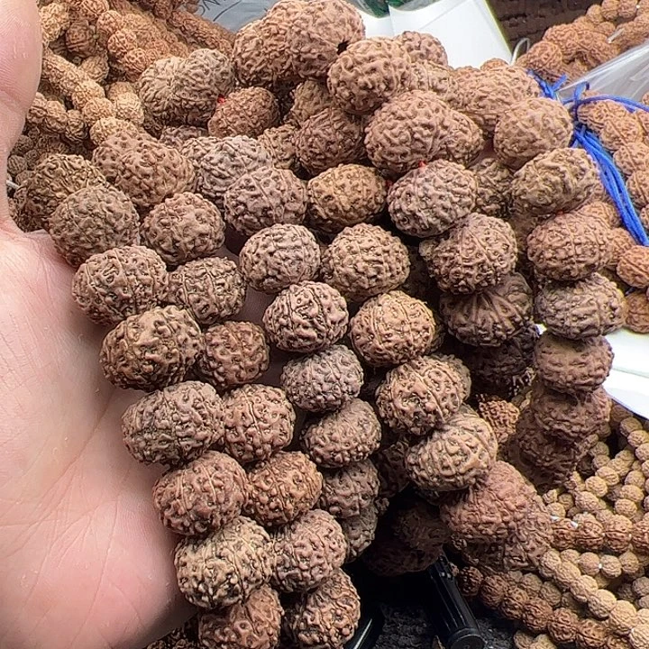 星***烂手串金刚菩提谢谢