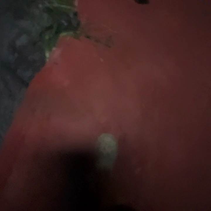 陵***管花土加水溶肥各一份