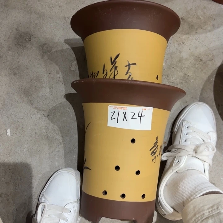 花盆紫砂紫砂的花