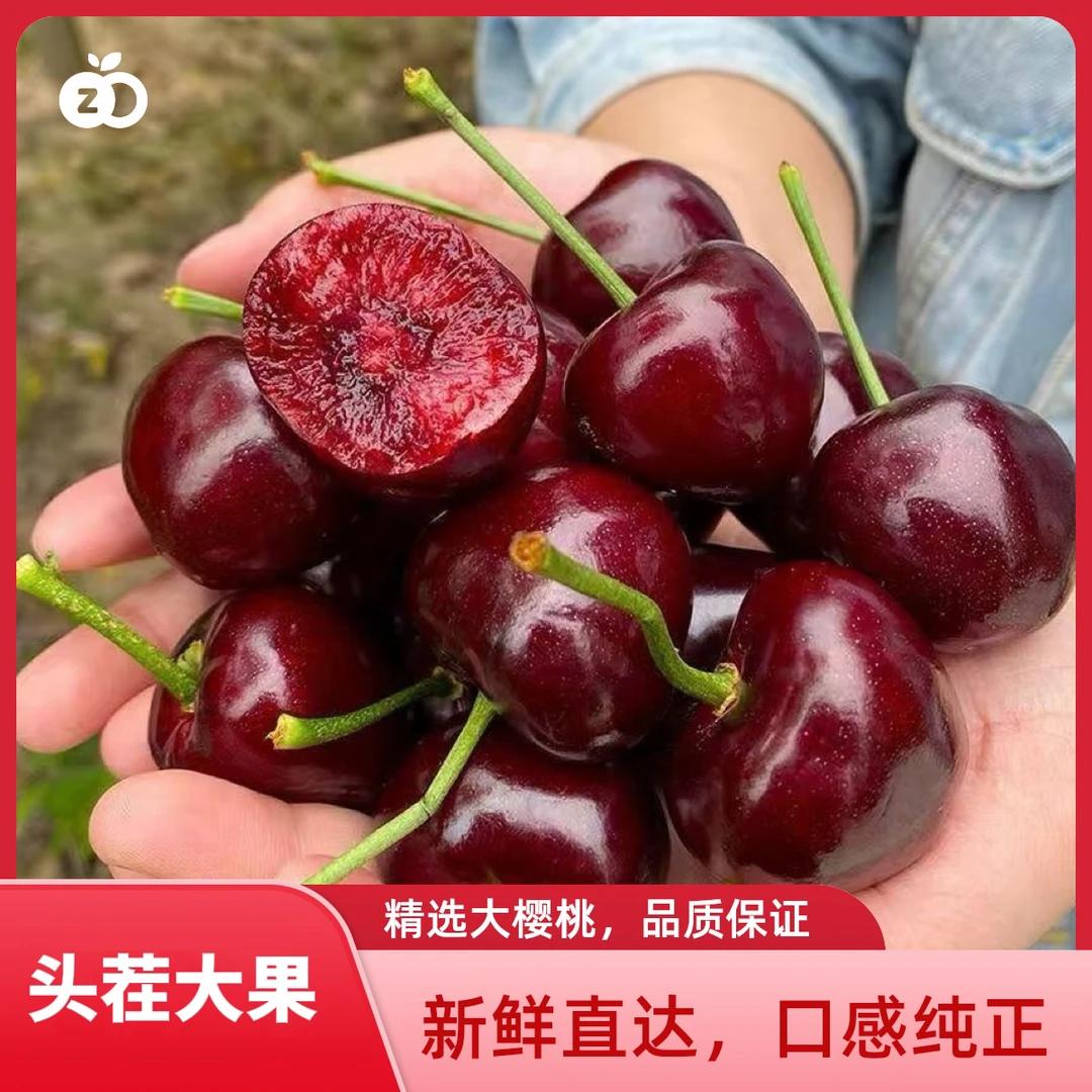 【产地直发】大连美早樱桃2J-6J现采现摘2斤起空运包邮  内附果径卡