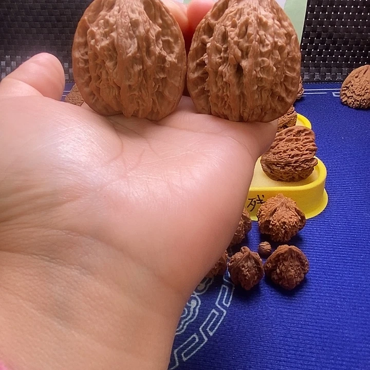 麦穗虎头44边高度49克重50