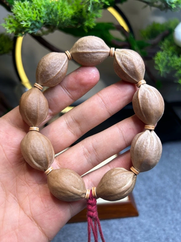 梅林铁核20/27三花鲨鱼背