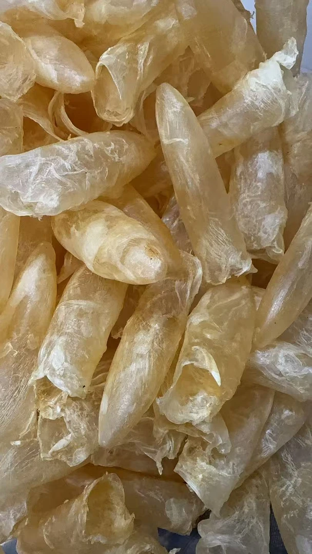 咸水铜胶 海产品海味零食海产品