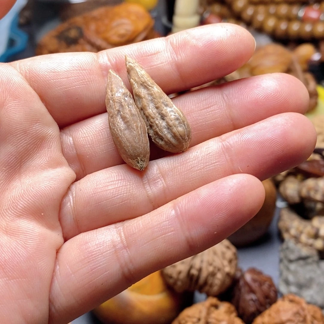 北***狼文玩核桃吊坠核桃27