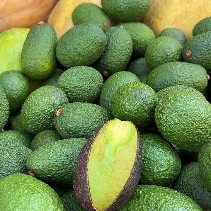 中国大陆牛油果12个