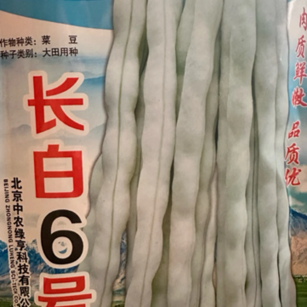 升级版九粒白，白连豆，白不老，口感好，产量高