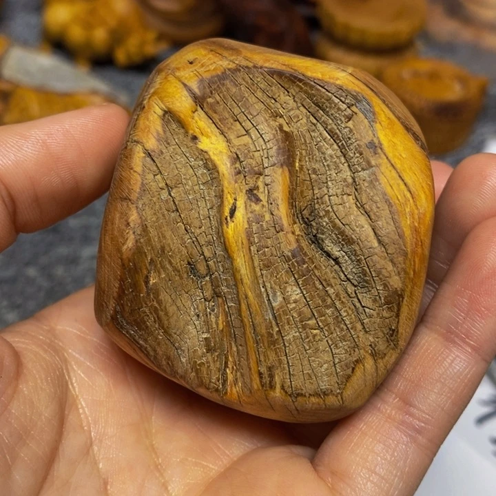 柏木（崖柏）崖柏111