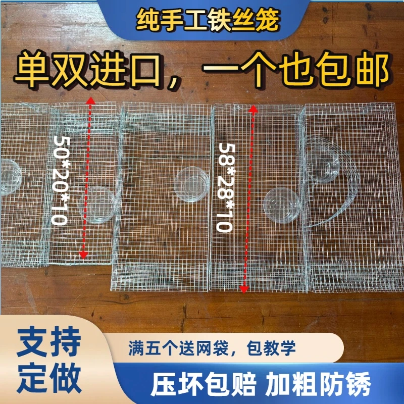 【升级款1.2粗】养蛇笼热镀锌倒须防锈铁丝笼户外笼中笼保护蛇包邮