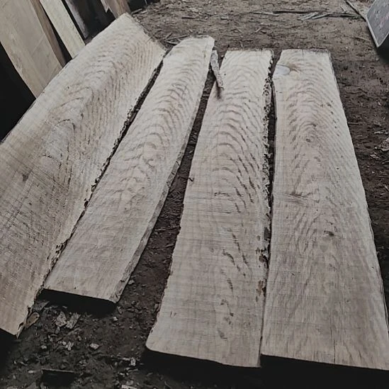 小叶桢楠金丝楠木