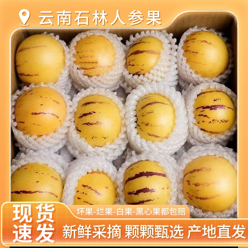 正宗云南石林人参果圆果黄肉产地直发新鲜现摘新鲜多汁当季水果