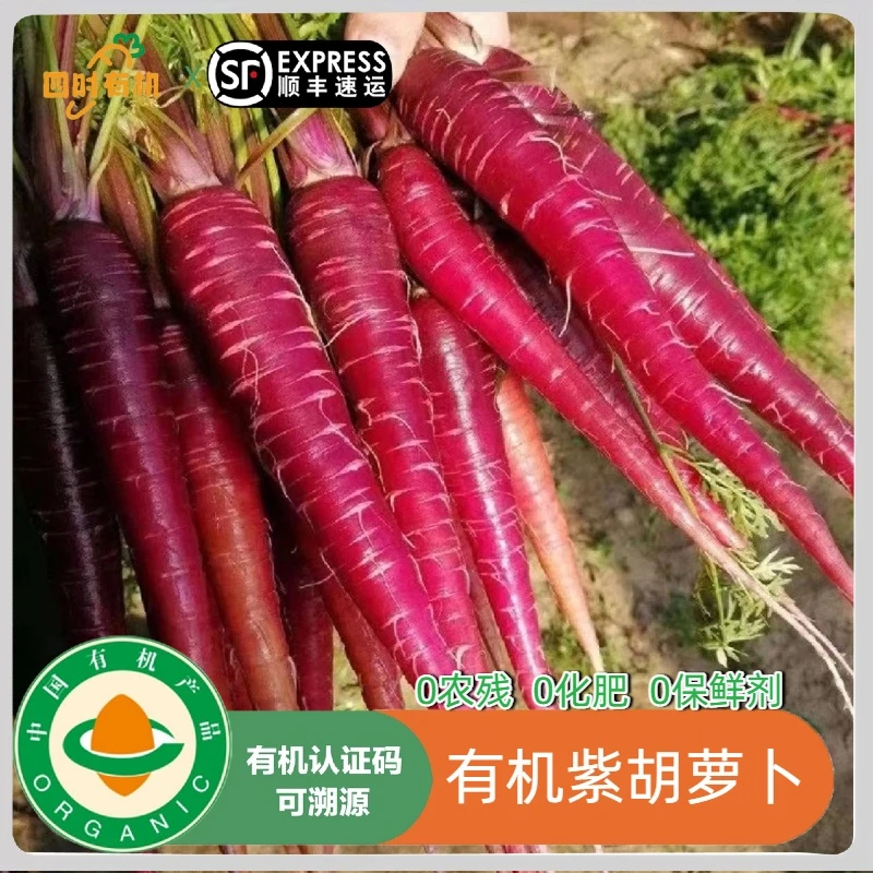 云南有机紫胡萝卜，脆甜新鲜花青素可榨汁凉拌无农残有机码顺丰