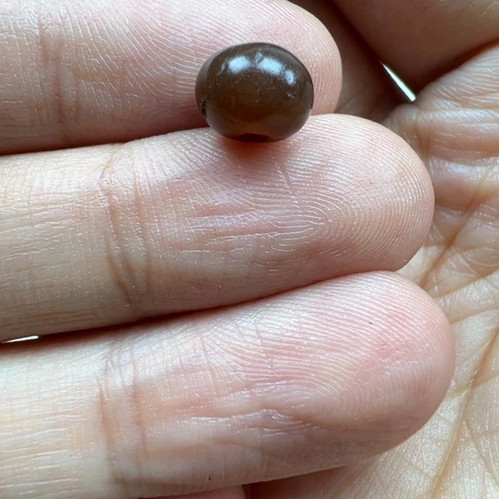 未镶嵌玛瑙/玉髓珠宝半成品F030