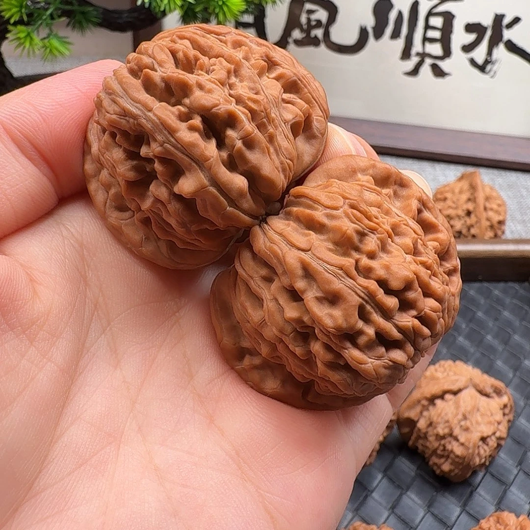 核桃全品老果楼子43
