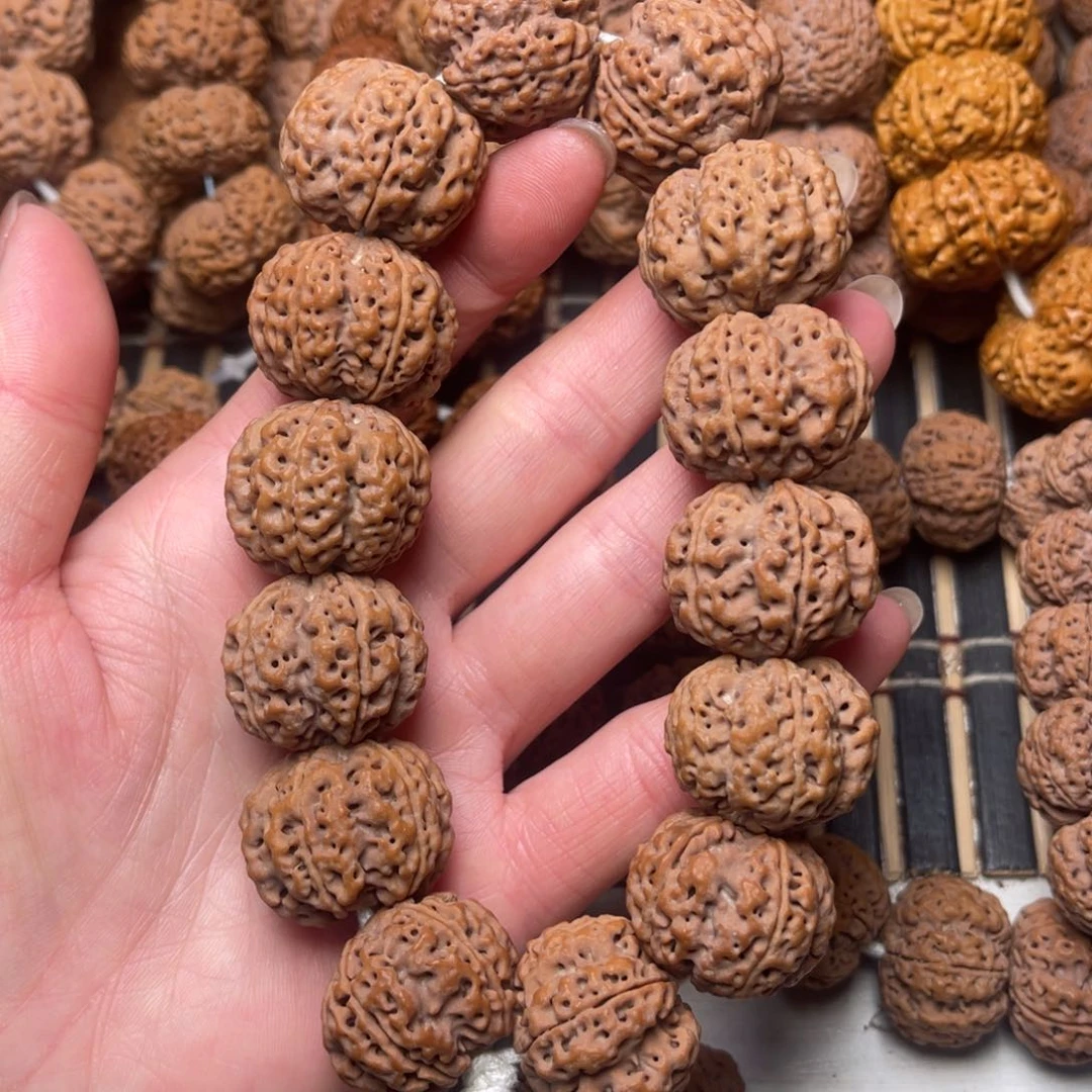 菩提尼泊尔大金刚梁梅花25