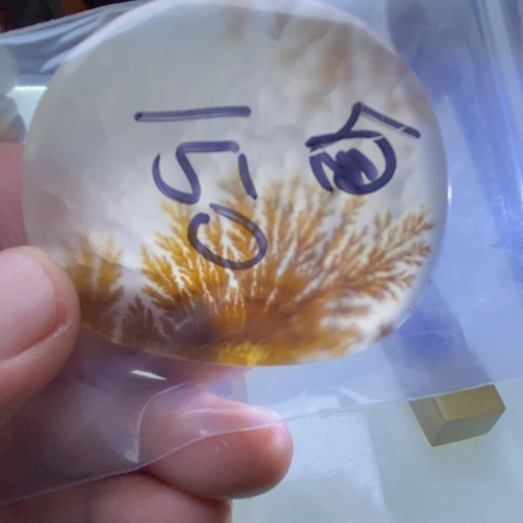 【闪购商品】未镶嵌颈饰玛瑙/玉髓自*风