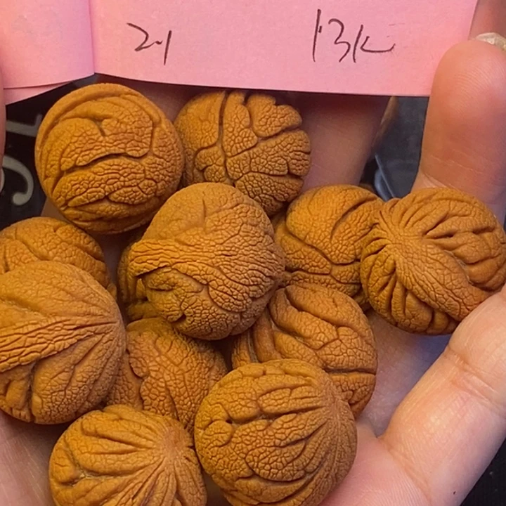 桃核吊坠秦岭龙纹桃核1