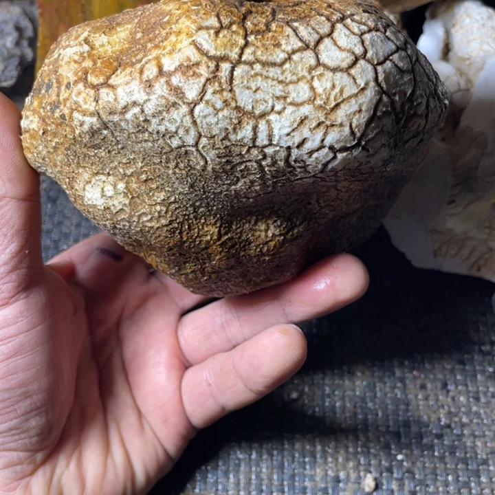 不***熄石材奇石怪石摆件