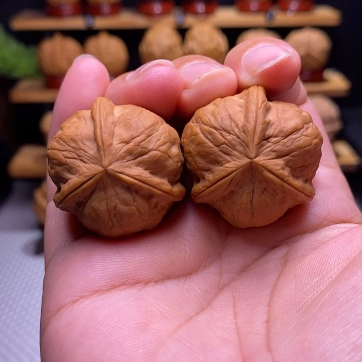 核桃云铁甲壳虫三棱4号