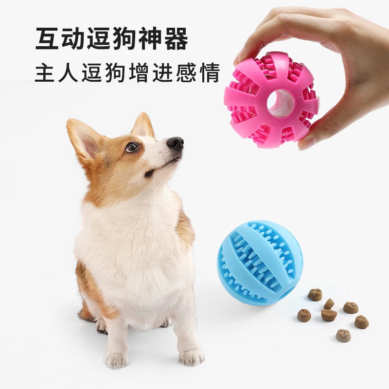 CK宠物玩具卡食独处解闷狗球磨牙橡胶弹力实心球狗玩具漏食球