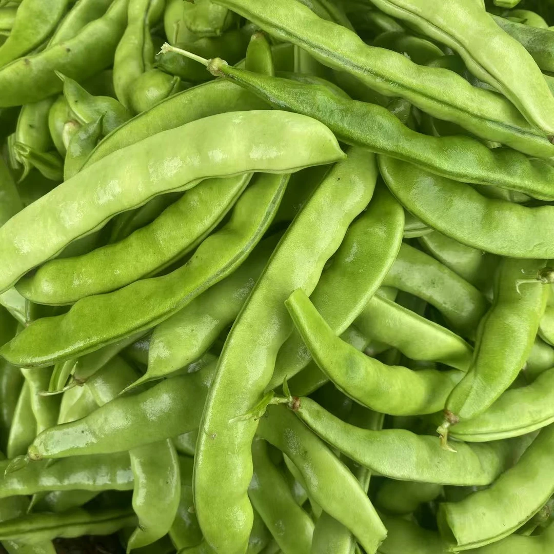 【大哥自营】东北油豆角 马掌豆角 5斤包邮  农家大地 现摘现发