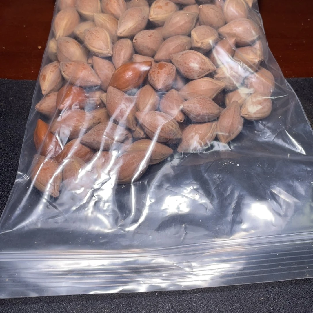 荆***缘手串/手链橄榄核不退不换