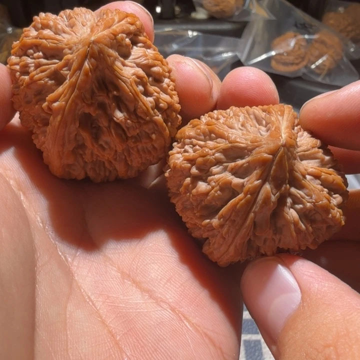 橘***皮把件猴头核桃大蒜头
