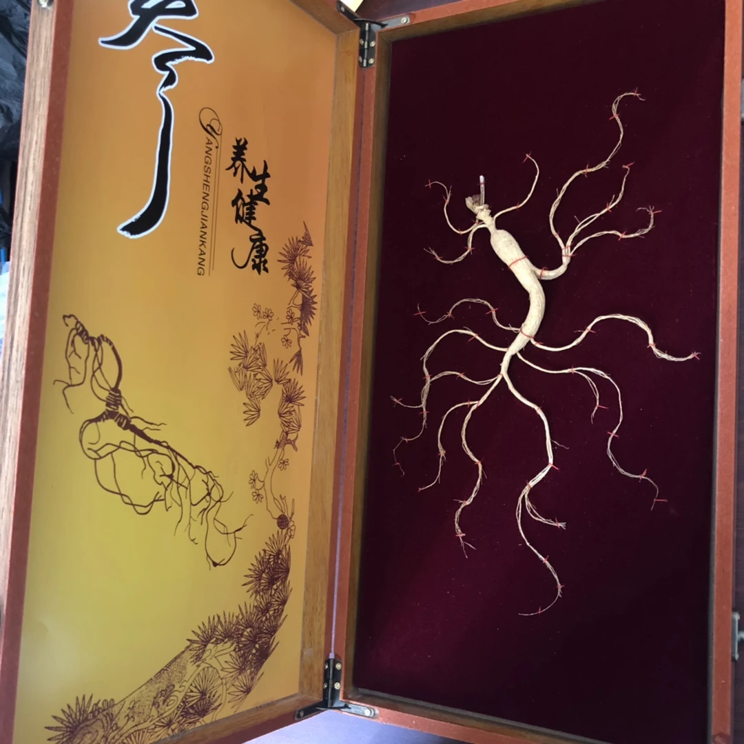 长白山干人参45cm单根人参