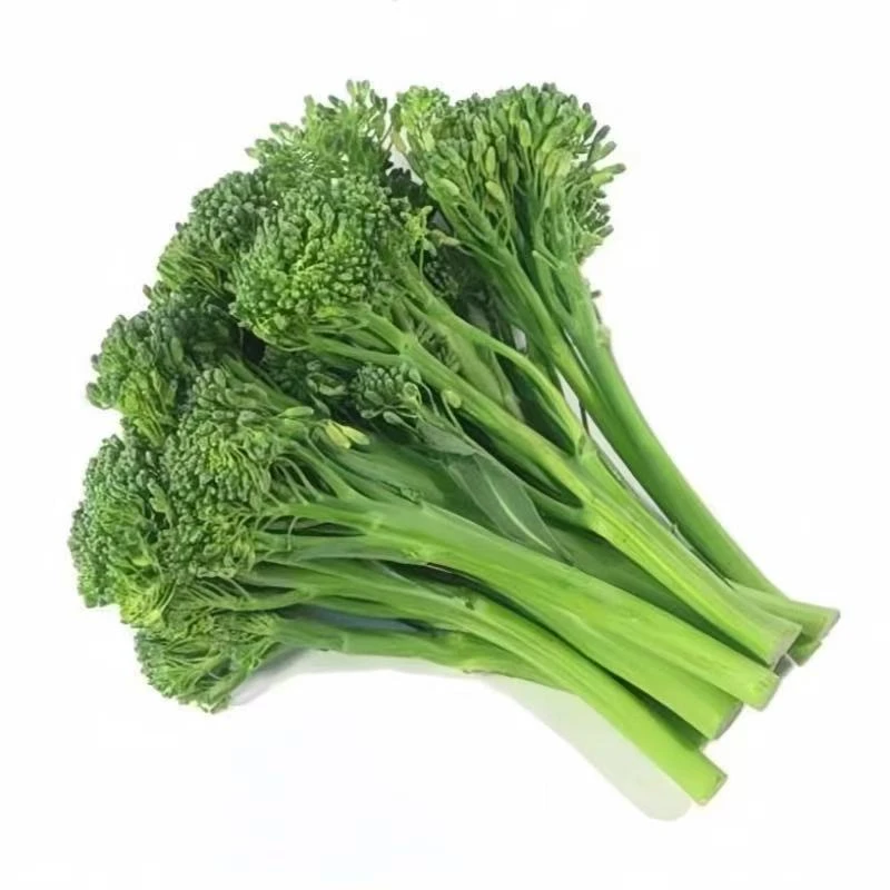 西兰苔苗菜苔种子西洋芥兰耐热早熟蔬菜