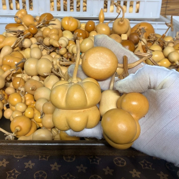 临沂一中等单位共同组织