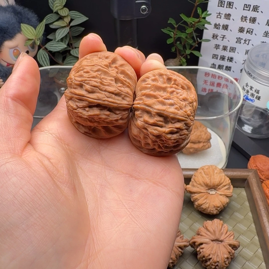 匿***.龙脊菩提吊坠全品40山地磨