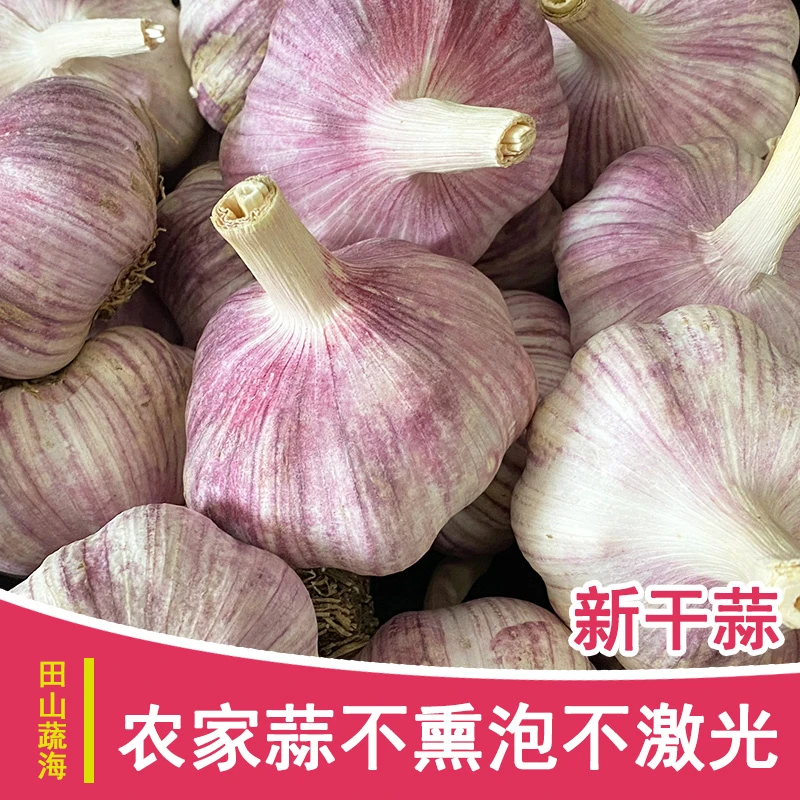 2025年5斤新干蒜紫白皮大蒜源头产地直发大蒜头大蒜可种蒜头9斤