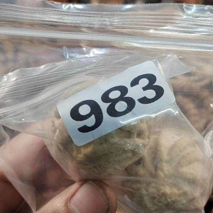 文玩核桃吊坠明*文玩核桃