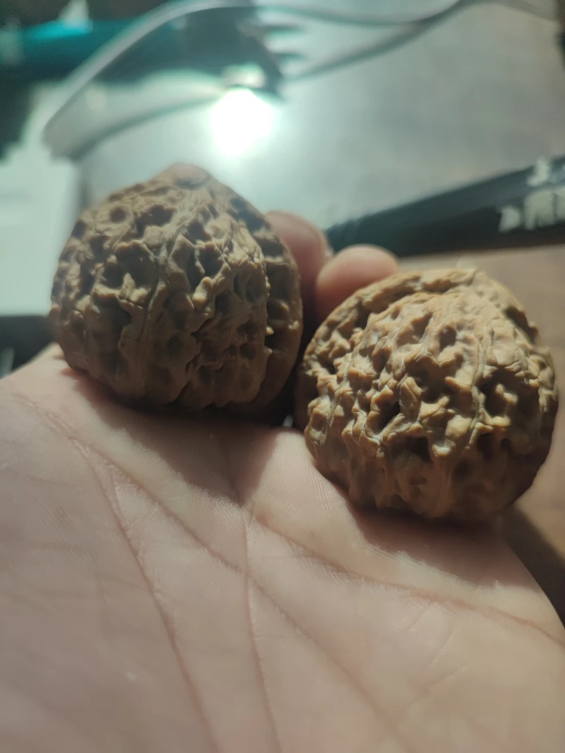 41尺三角白狮子文玩核桃