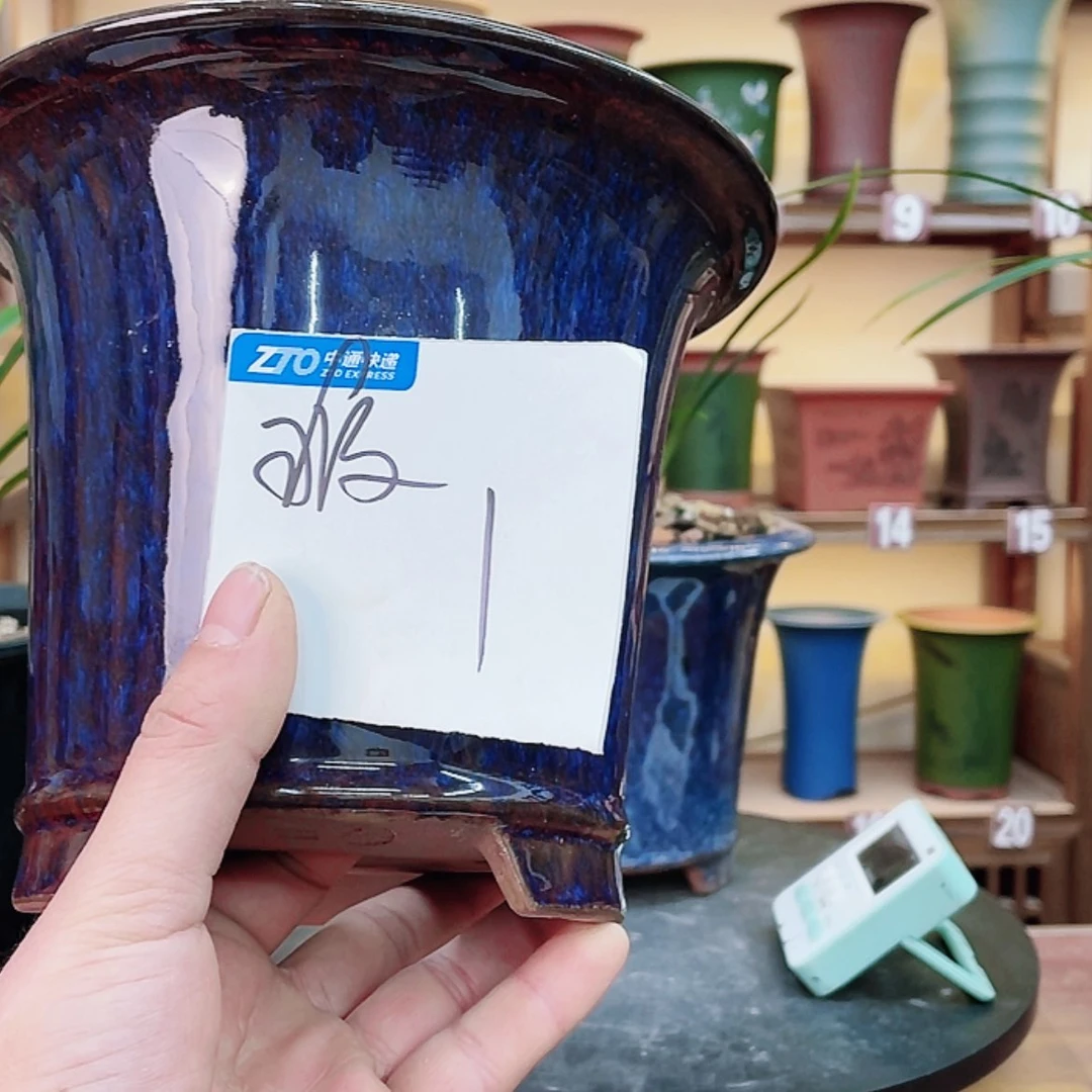 【闪购商品】紫砂花盆香***煎兰花8255855588855558