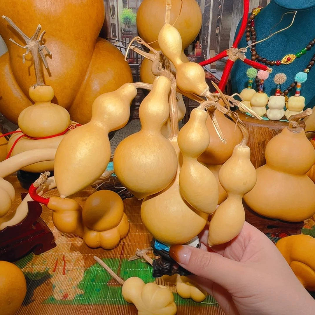 风*葫芦呀呀呀呀呀呀呀呀呀呀ya