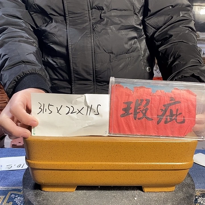 花盆紫砂紫砂艺术