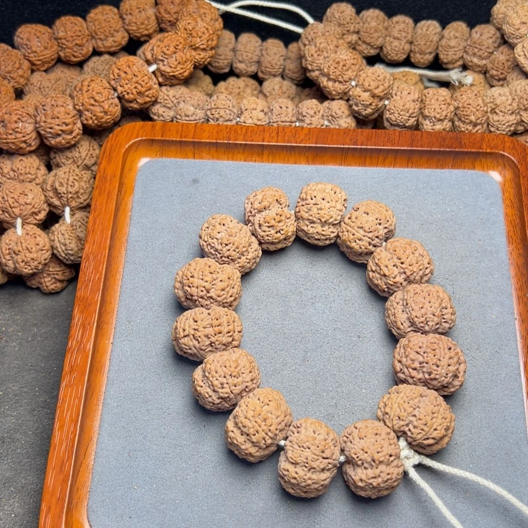 菩提27号尼泊尔大金刚25五星爆肉菠萝蜜