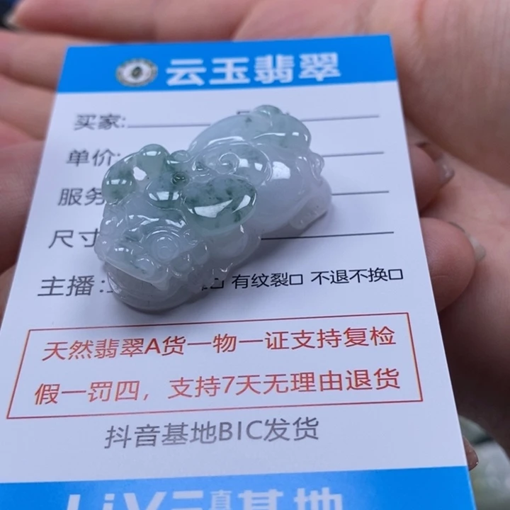 颈饰未镶嵌翡翠多人貔貅