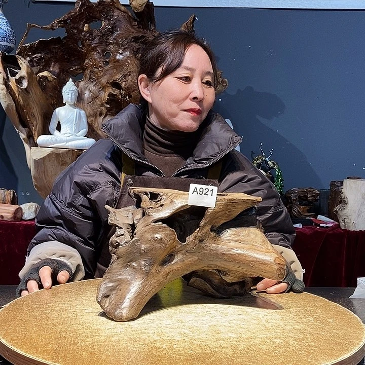 小*921株木随行的根艺的