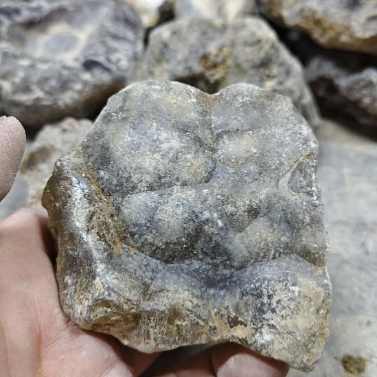 G***Z玛瑙/玉髓未镶嵌原石