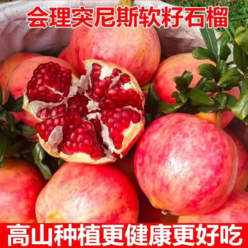 四川正宗会理突尼斯软籽石榴精选好果纯甜无酸一口爆汁新鲜水果