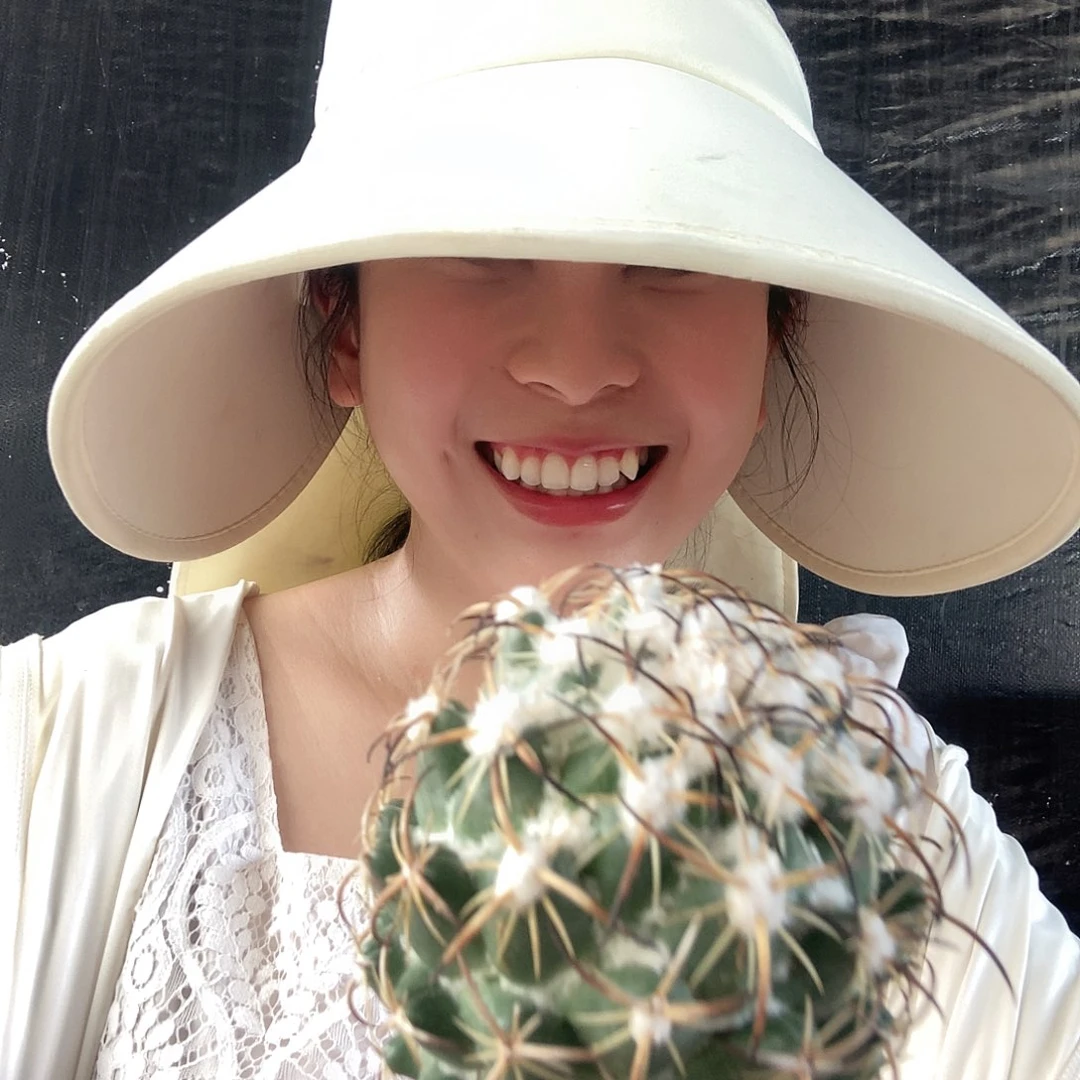 4-21钢钉随机仙人球
