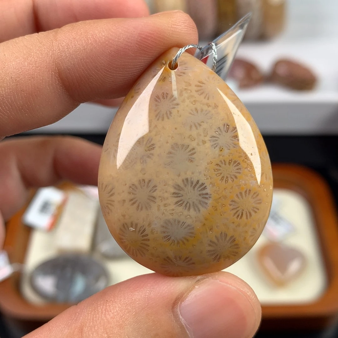 【闪购商品】硅化珊瑚（珊瑚玉）手镯未镶嵌开播福利！6