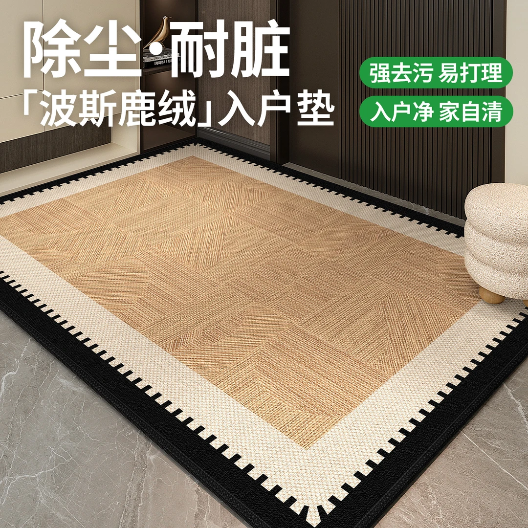 【爆款】入户门地垫2025新款轻奢高级感地毯家用进门口防滑脚垫子