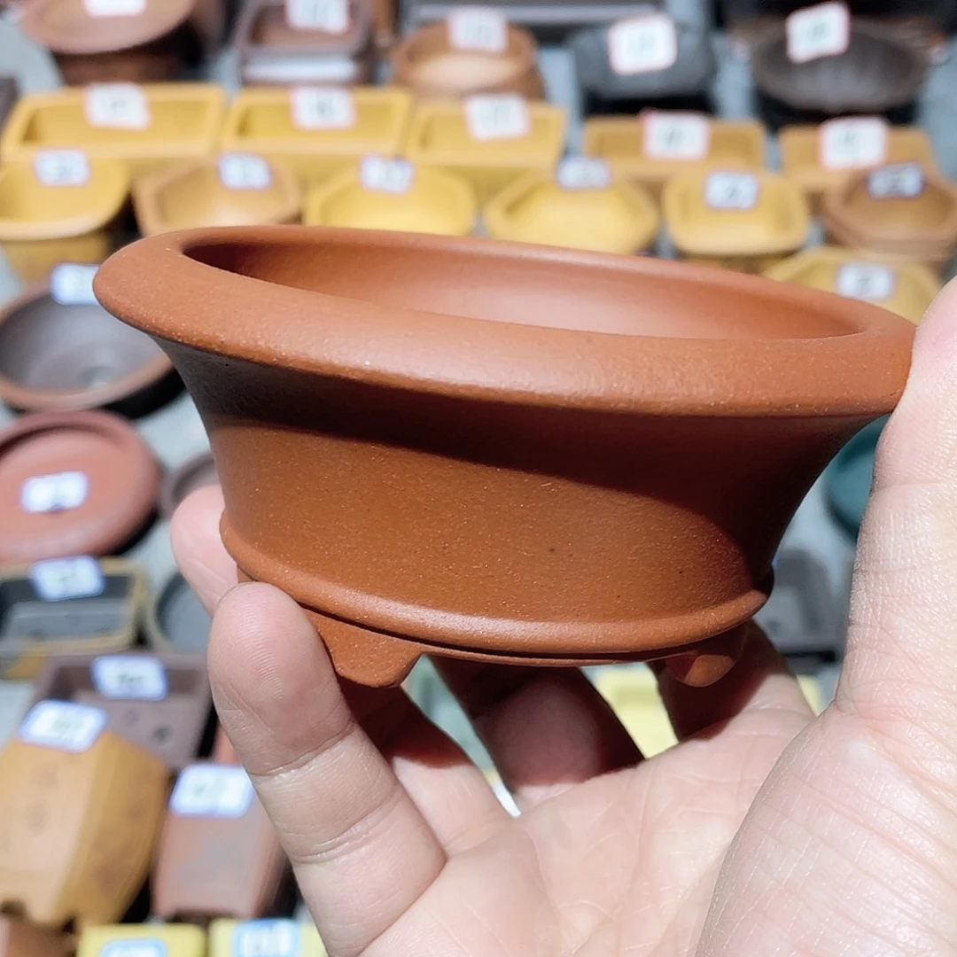 紫砂小盆9.5*4cmmmmmm