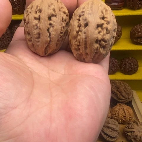 把件文玩核桃东北秋子核桃巨蛋