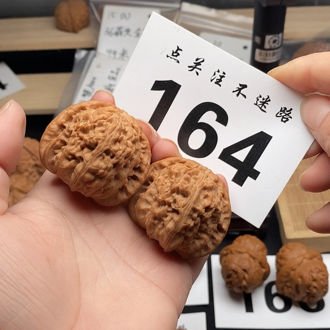 核桃42白狮子。