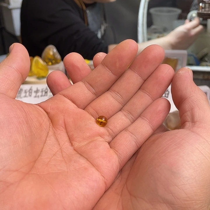 多***鱼琥珀未镶嵌裸石天然琥珀蜜蜡