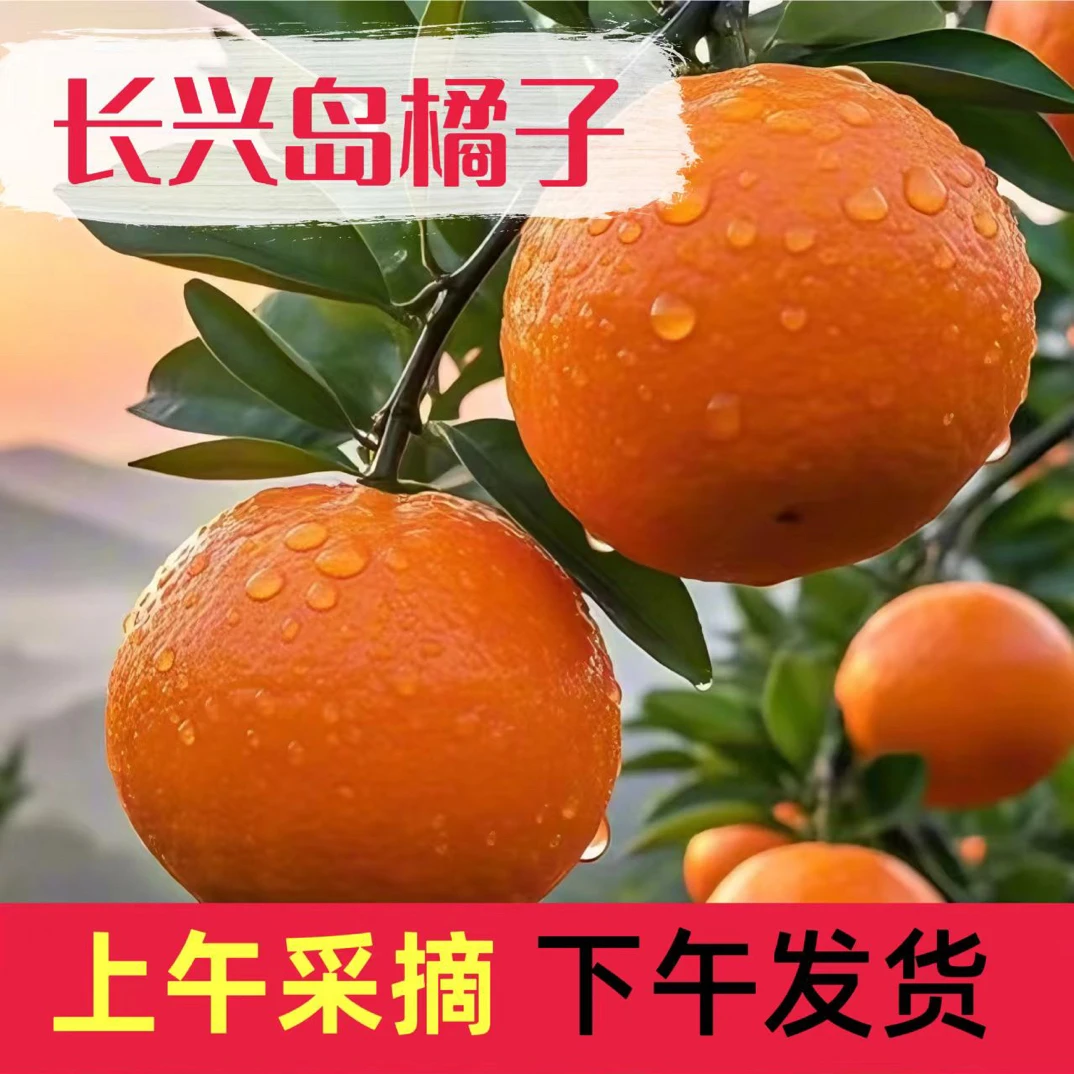 上海长兴岛橘子现摘新鲜青皮蜜桔薄皮多汁酸甜爽口应季孕妇水果